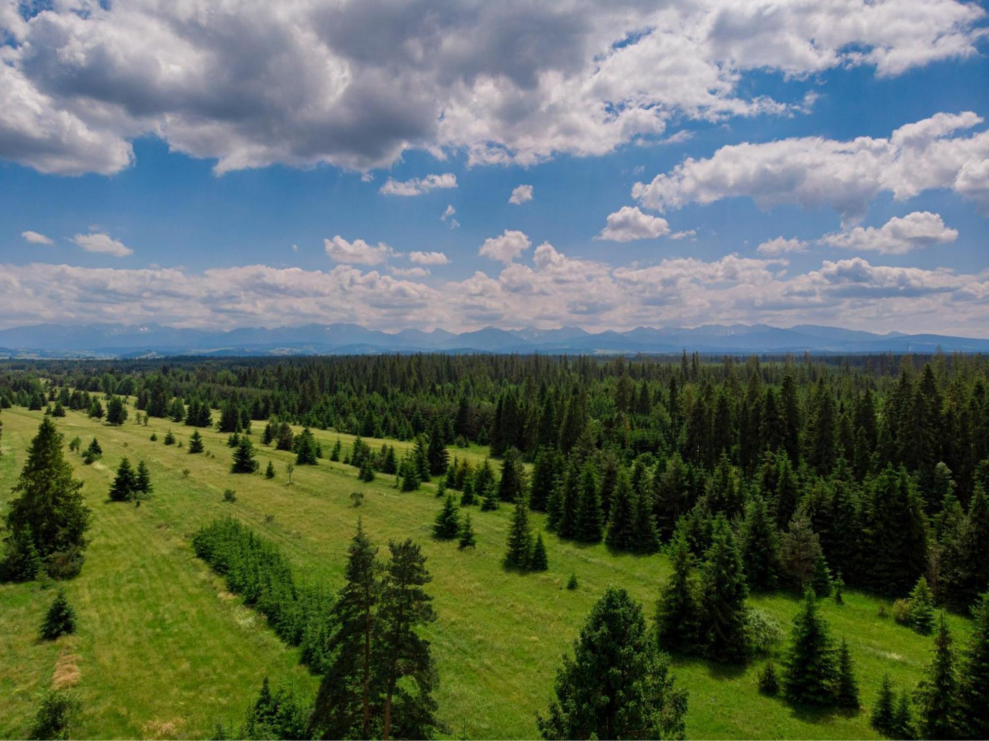 Domki Baligowka Aurelia I Maximus Zakopane Exterior foto